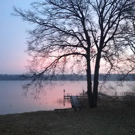 Ferienhaus Kranich Am Paelitzsee _